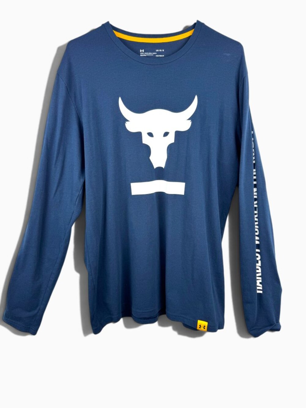 Under Armour Project Rock T-Shirt Size L Blue Hardest Worker In The Room Gym Rat